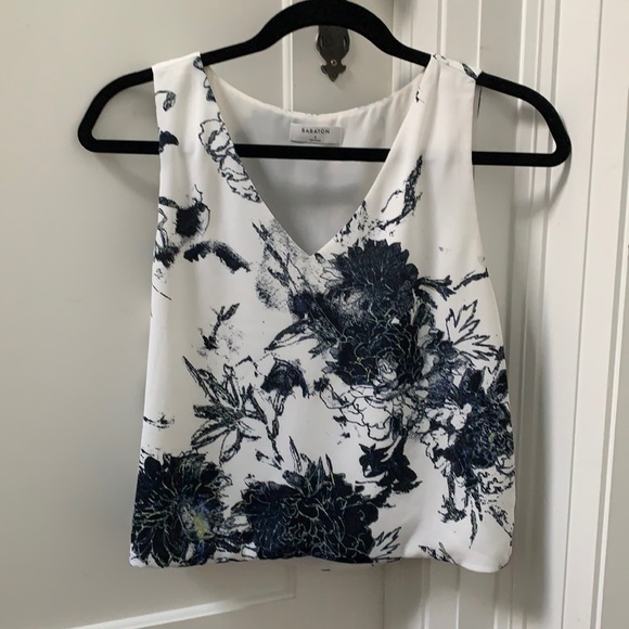 Aritzia Tops - Babaton blouse tank top